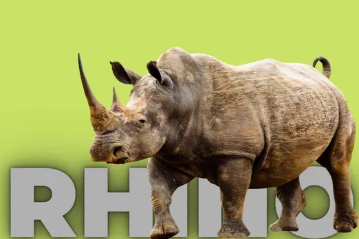 The success story of 'Project Rhino' of India