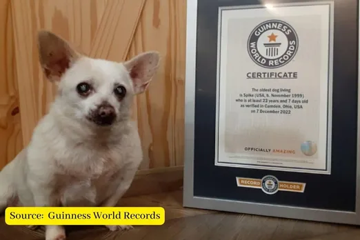 Meet Spike, the world's oldest living dog