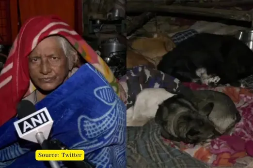 Why Delhi has a problem with Pratima Devi who housed 200 dogs?