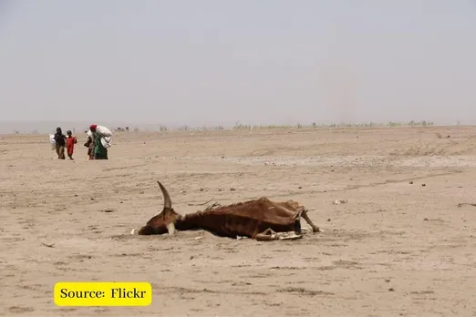 What is El Niño that is going to make heatwaves scary this year?