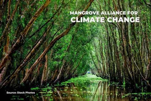 Mangrove Alliance for Climate, Explained!