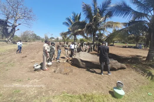 Forest frontline workers saved electrocuted elephant at Bandipur Tiger reserve