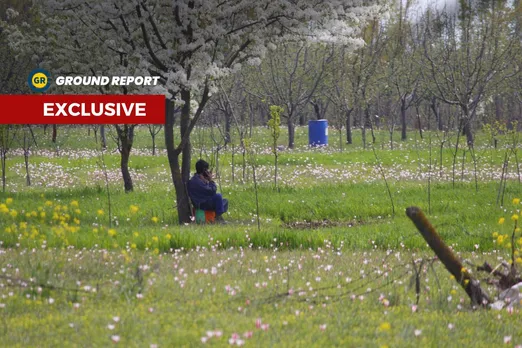 Karewa land: Nature’s blessing to Kashmir is in danger