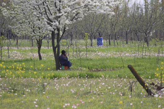 J&K: First major weather activity of season, as weatherman forecasts Rains & Snow 