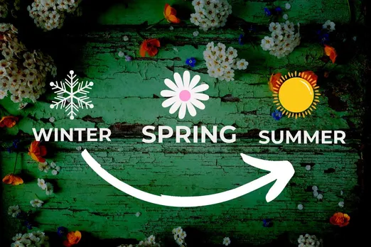 'Spring season' is dead, there is summer just after winters