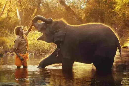Oscars 2023: Real story behind ‘The Elephant whisperers’