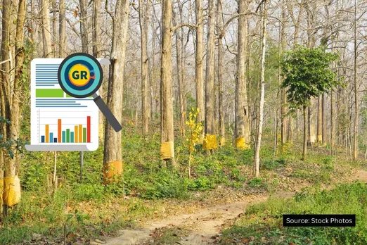 List of states where forest cover increased in last 4 years