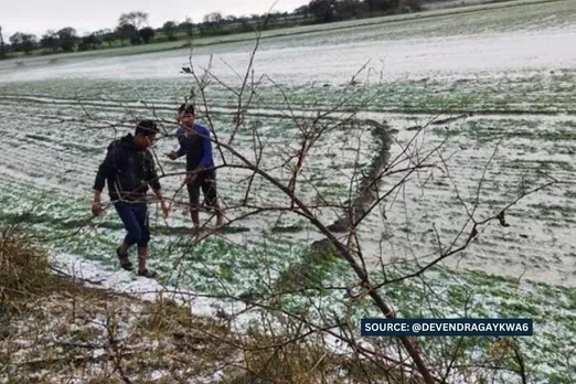 Hailstorm in MP: इन जिलों में फसलों को नुकसान, किसानों के निकले आंसू