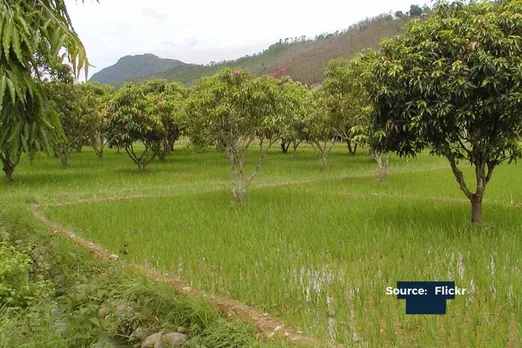 agroforestry in uttrakhand