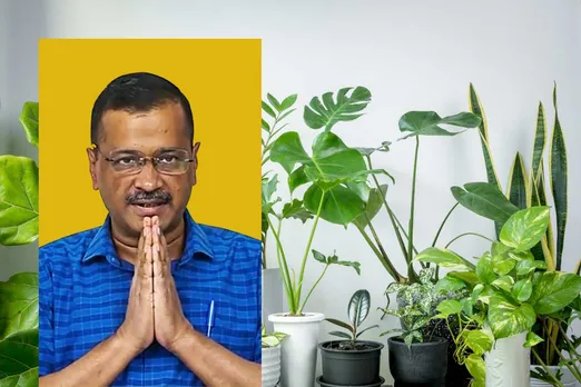 Delhi govt to provide free plants at the doorstep to improve green cover