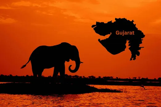 Arunachal elephant to be trafficked to Gujarat