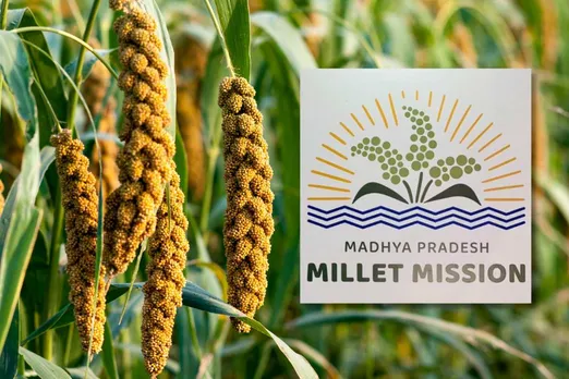 Madhya Pradesh Government launches 'Millet Mission' with 80% subsidy 