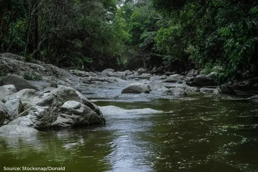 16% of India's water bodies unused, threatening water security