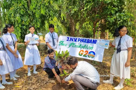 What does IPCC report say about tree plantation drives?
