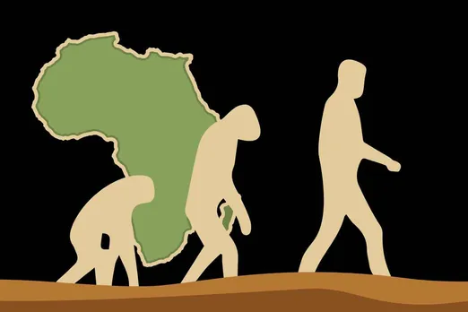 Wooded grasslands were prominent in Africa 21 Million Years Ago: discovery reconsiders Ape-evolution