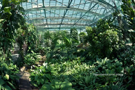 Transformation Plan for Bengaluru's Doddasaggere botanical garden