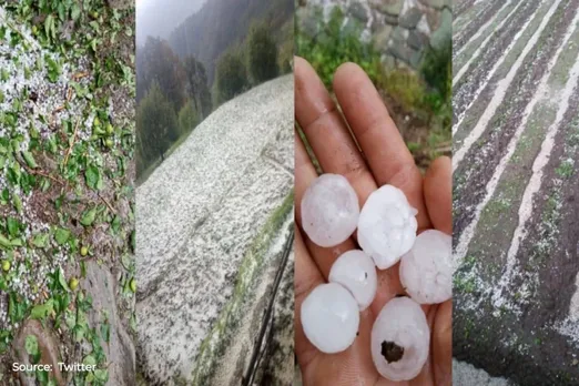 Heavy rain and hailstorm damage crops in Kashmir Valley