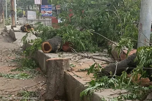 Guwahati: Narakasur hill tree felling controversy explained