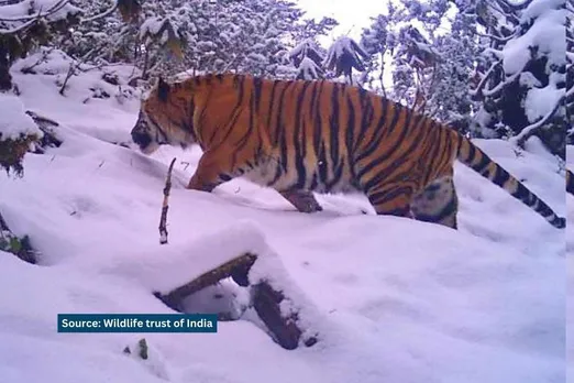 Dibang Sanctuary to be notified as a tiger reserve; Arunachal’s Idu Mishmi community protests