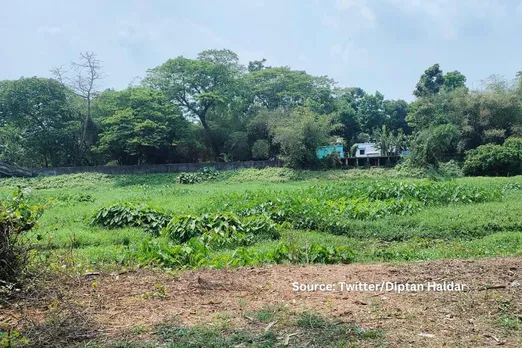 Death of Ichhamati River