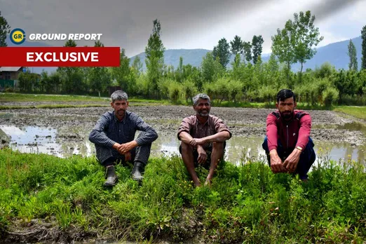 Hamlet of despair, resurgence of wild boars in parts of Kashmir forces many to suspend farming