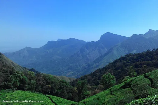 62 plant species unveiled in Western Ghats: surviving severe water crisis