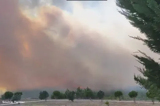 Portugal's battle with wildfires continues: Natural park faces intense blaze