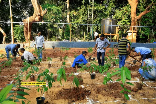 Know how compensatory afforestation doesn't really 'compensate'
