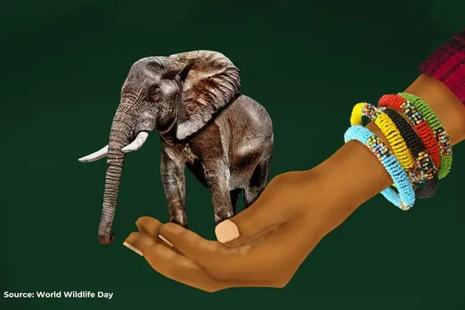 World Elephant Day 2023: Discover how they remember for generations