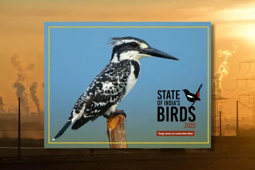 State of India's Birds 2023 report: What are the major threats to bird species in India?