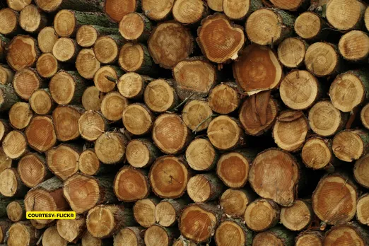Wood might not be an alternative to concrete: World Resource Institute study