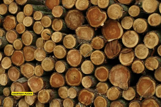 Wood might not be an alternative to concrete, suggests a new study