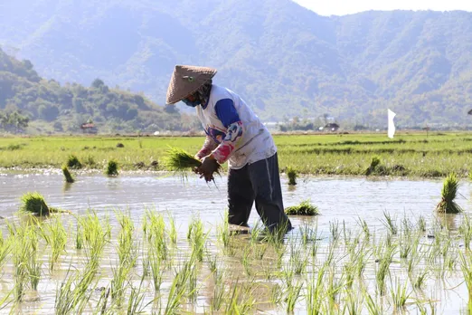 Disasters cost farmers $3.8 trillion in last three decades