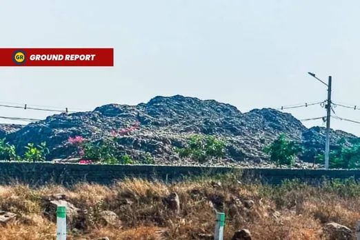 Bhopal: Adampur landfill sickens wildlife, forces migratory birds to relocate