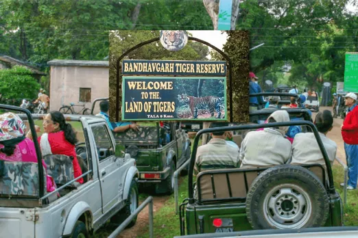 After the monsoon break, Bandhavgarh tiger reserves in the state open for tourists
