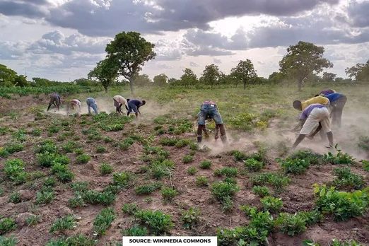 Farmers producing one-third of world’s food receive only 0.3% of climate finance