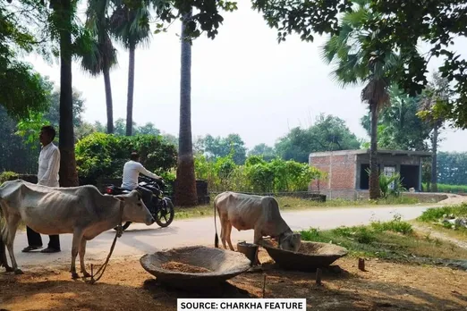 raushanganj bihar village facing burnt of migration for employment