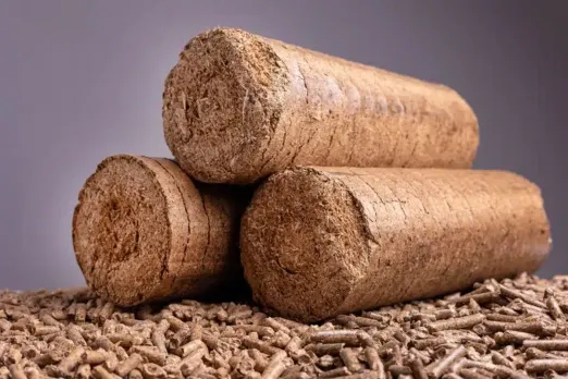 Addressing Climate Change: Rice Husk Briquettes as a Carbon-Neutral Energy Option