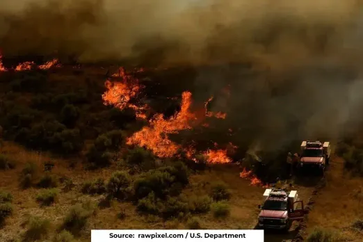 Over 17,000 hectares destroyed in Colombia forest fires, as temperatures soar