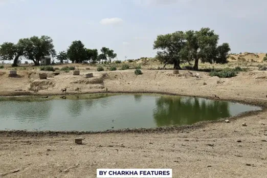 राजस्थान में पानी के लिए तरसते इंसान और जानवर, पलायन ही सहारा
