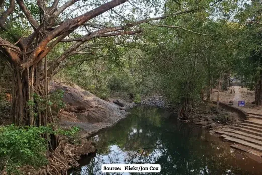 How dumping of Iron ore in and around Bhagwan Mahavir Wildlife Sanctuary is impacting ecology?
