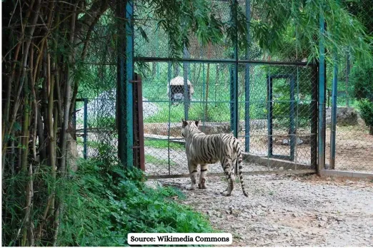How a highway construction through Bannerghatta National Park will damage the ecology?