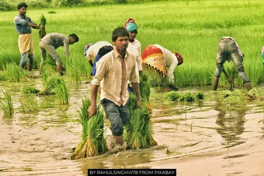 जलवायु परिवर्तन से परेशान किसान को नज़रअंदाज़ करता भारत का कृषि बजट