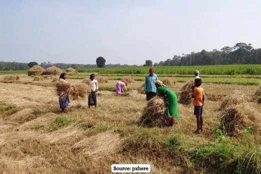 56 million return to India's agriculture sector, more women lead rural workforce