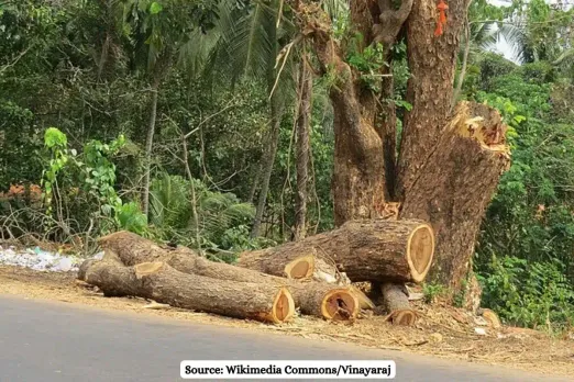 39,132 trees to be felled in Maharashtra for Vadodara expressway