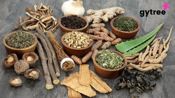 What are Adaptogens and their role in Protein?