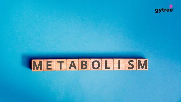 5 ways to increase your metabolism