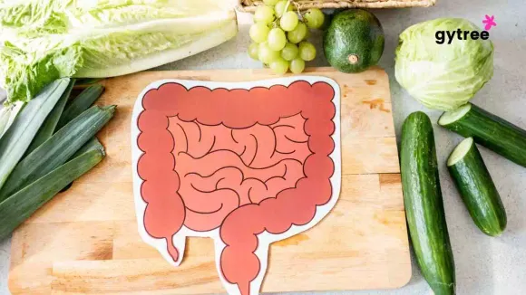 5 factors affecting gut health