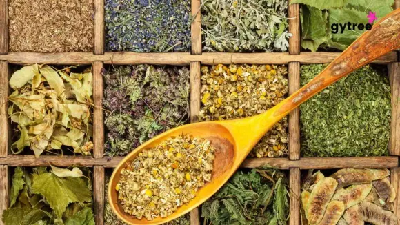 10 Herbs for Liver and Kidney Health