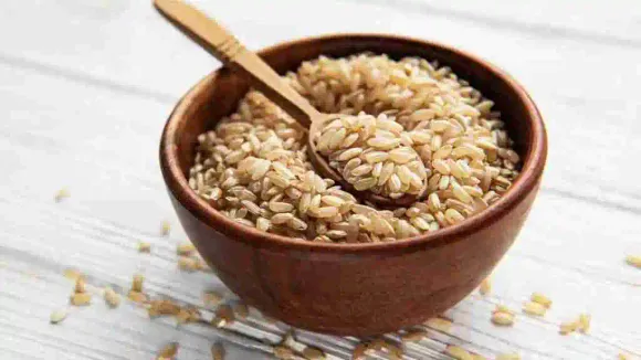 How You Can Reduce Weight With Brown Rice Protein: 1 Step Closer To Fitness
